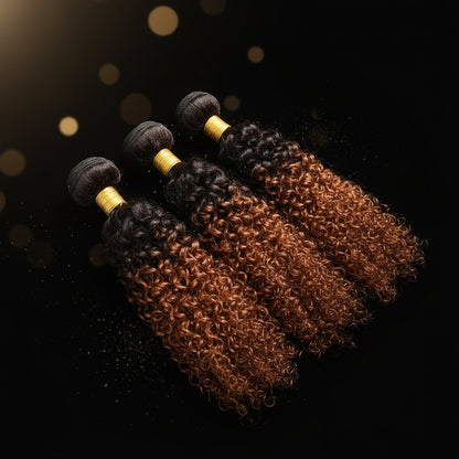 100% Brazilian Virgin Hair Ombre 1B 30 Kinky Curly Hair Bundles 12A Ombre Human Hair 1/3 Bundles Black to Brown Hair Extensions