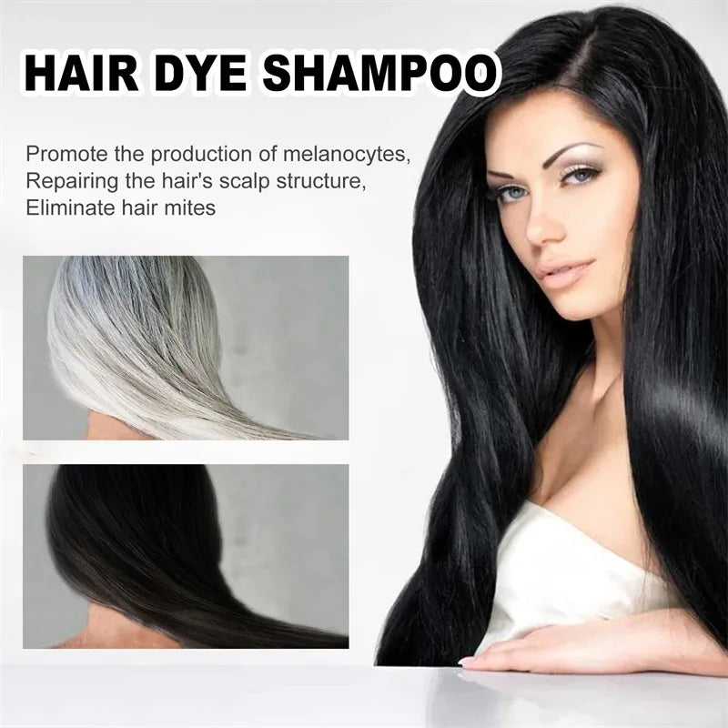 Shampooing Colorant Noir 3-en-1 | Plantes Naturelles | Cache Cheveux Blancs | Lot de 2