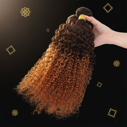 100% Brazilian Virgin Hair Ombre 1B 30 Kinky Curly Hair Bundles 12A Ombre Human Hair 1/3 Bundles Black to Brown Hair Extensions