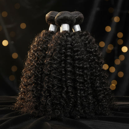 100% Brazilian Virgin Hair Ombre 1B 30 Kinky Curly Hair Bundles 12A Ombre Human Hair 1/3 Bundles Black to Brown Hair Extensions